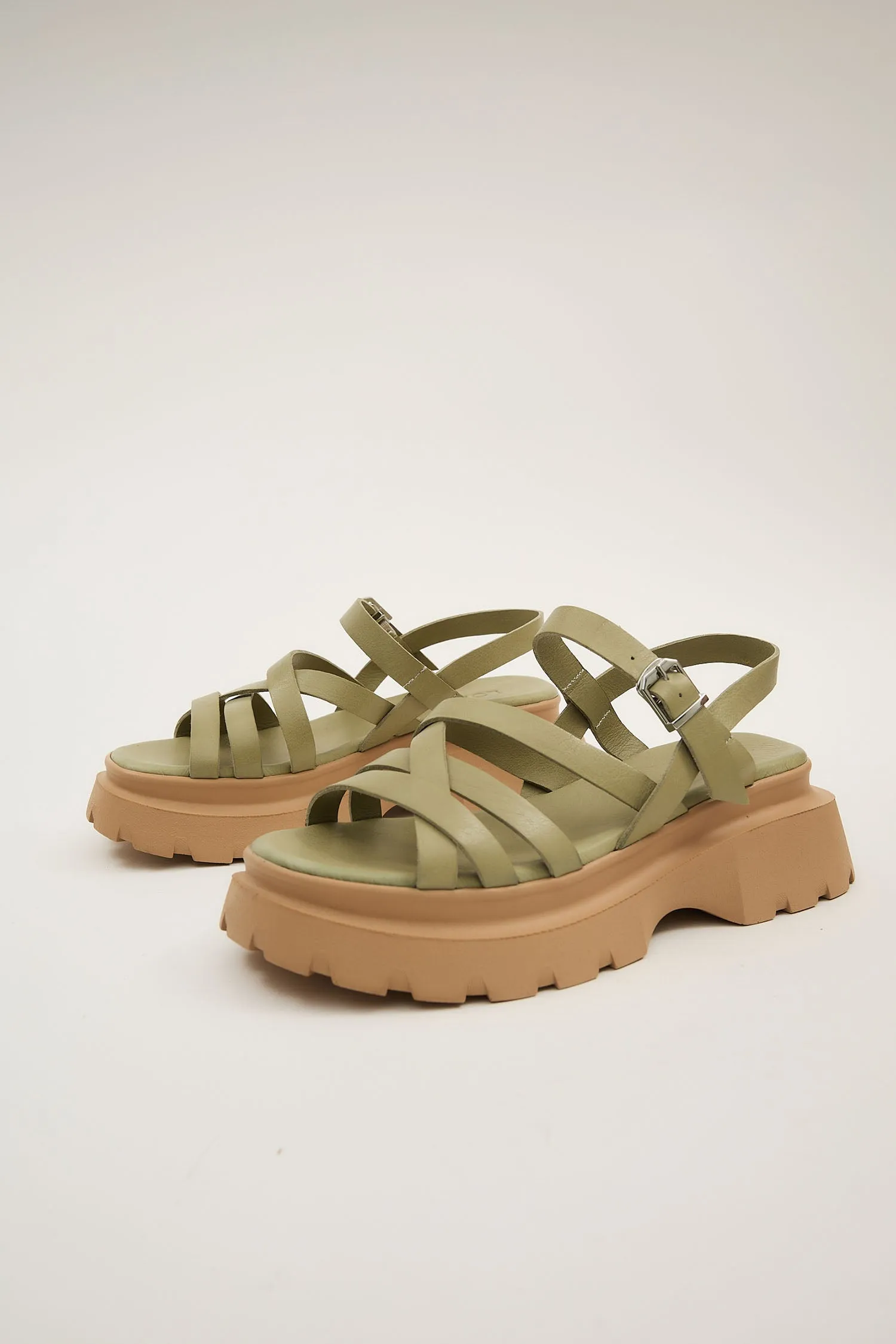 Afelia Green