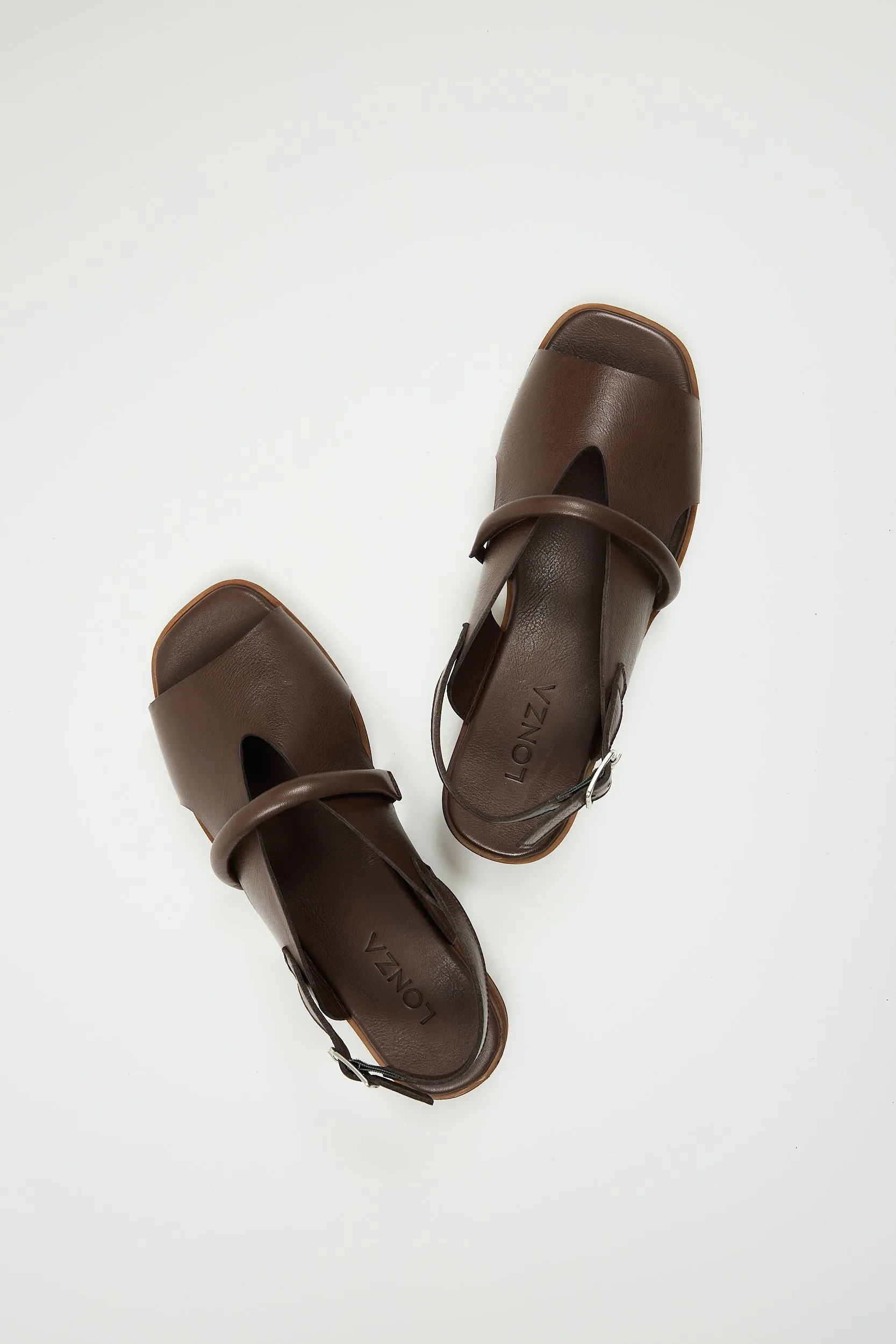 Bergen Brown