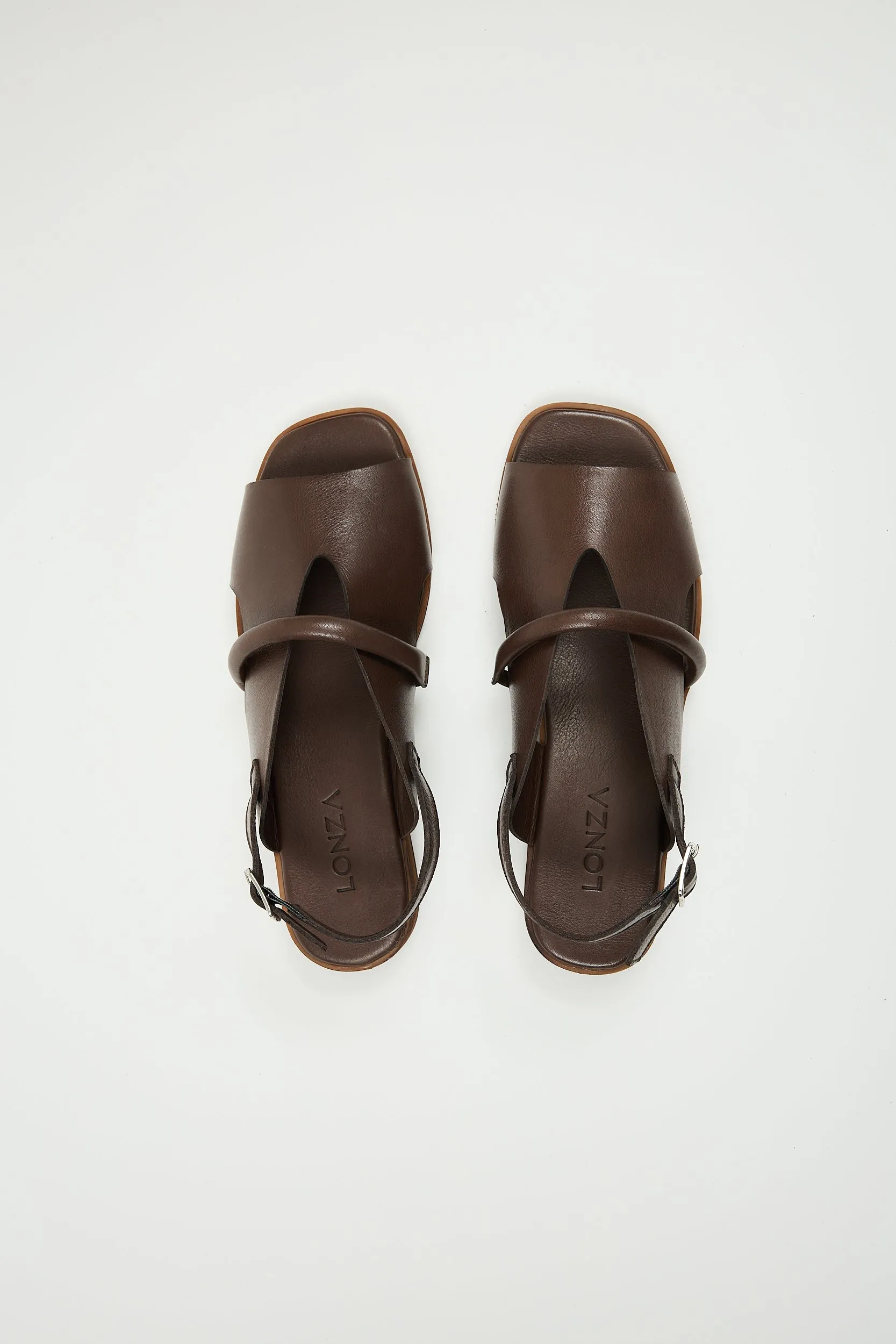 Bergen Brown