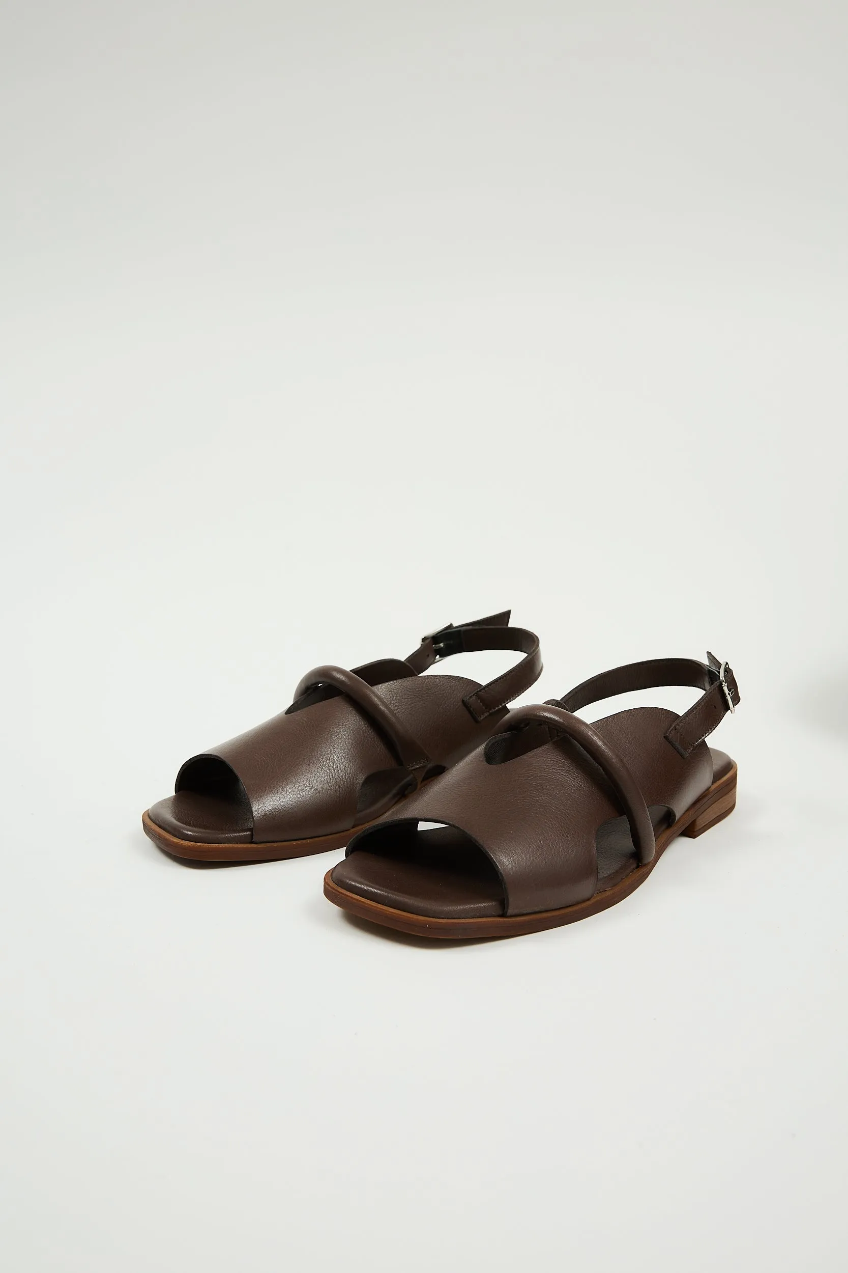Bergen Brown