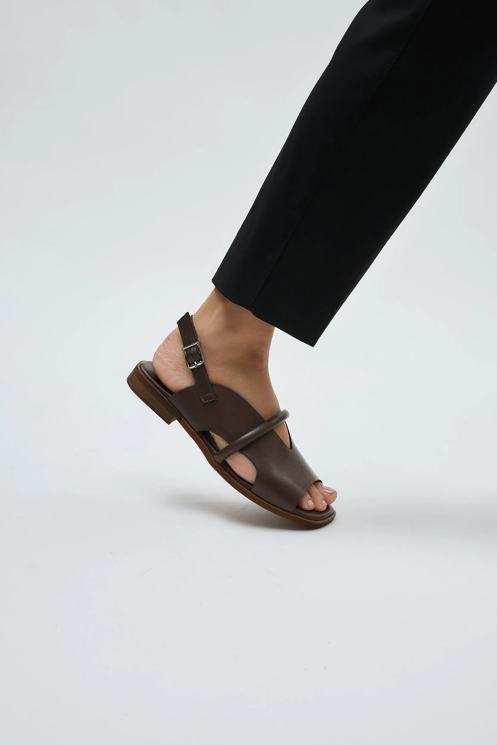 Bergen Brown