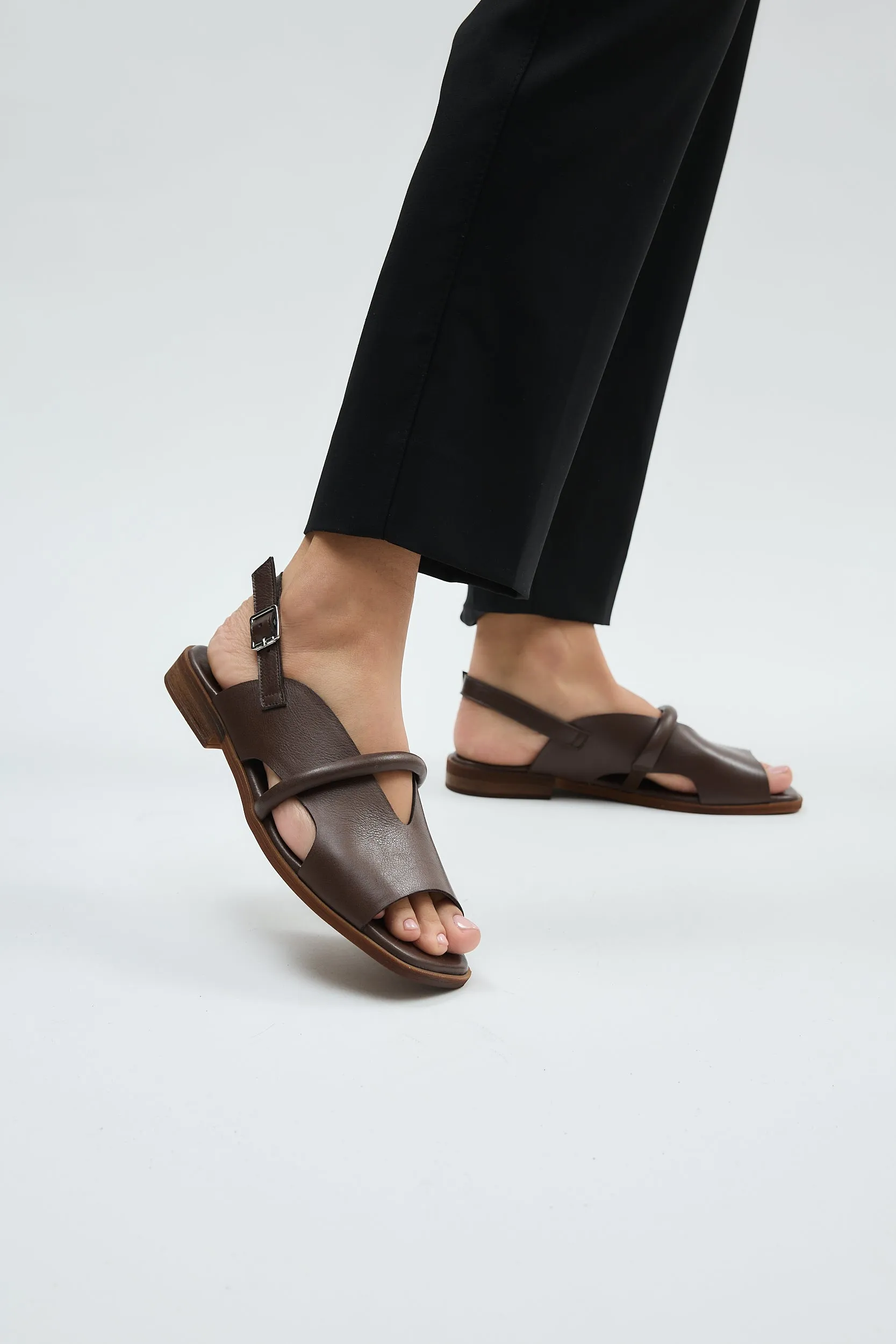 Bergen Brown