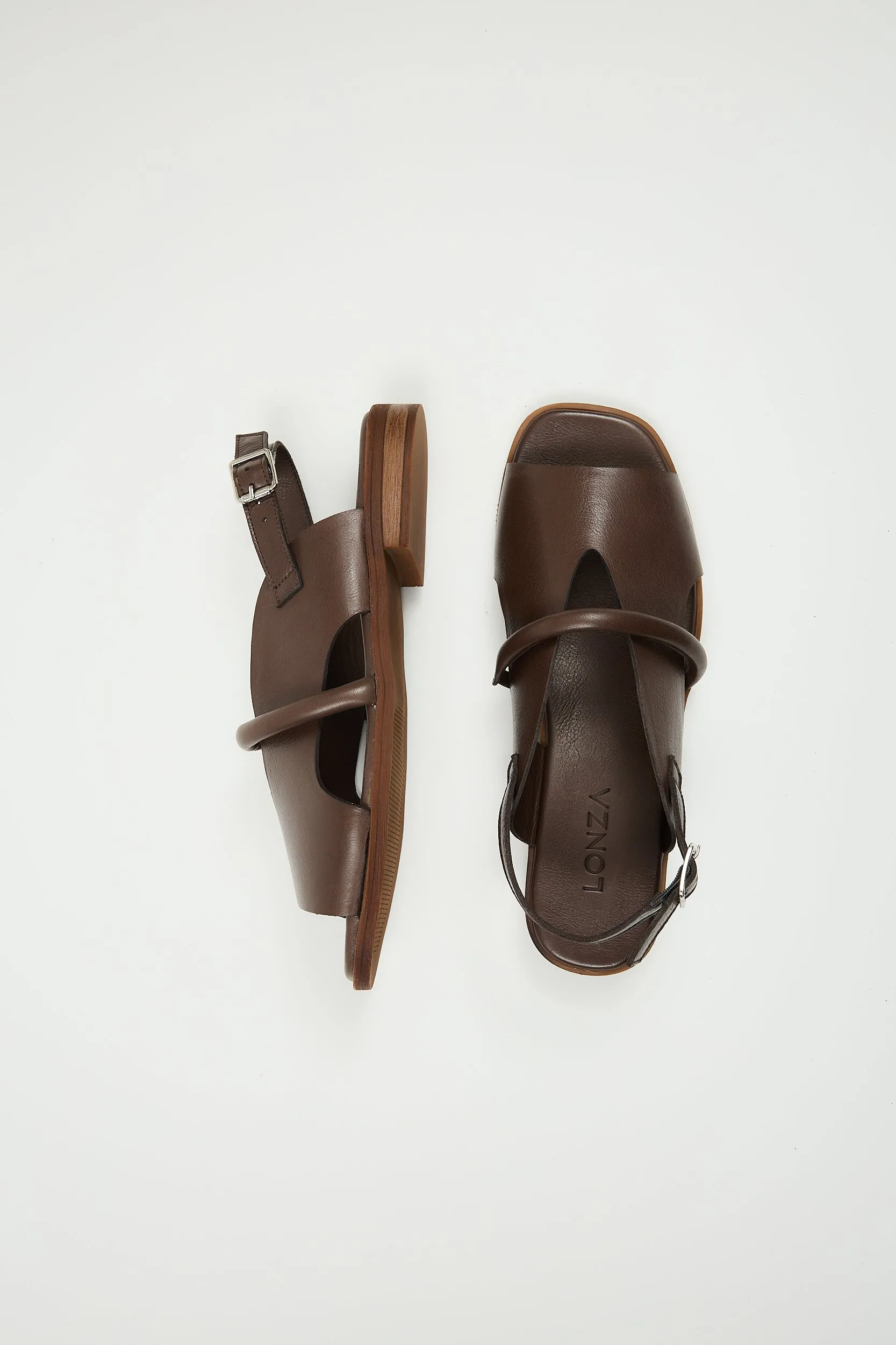 Bergen Brown