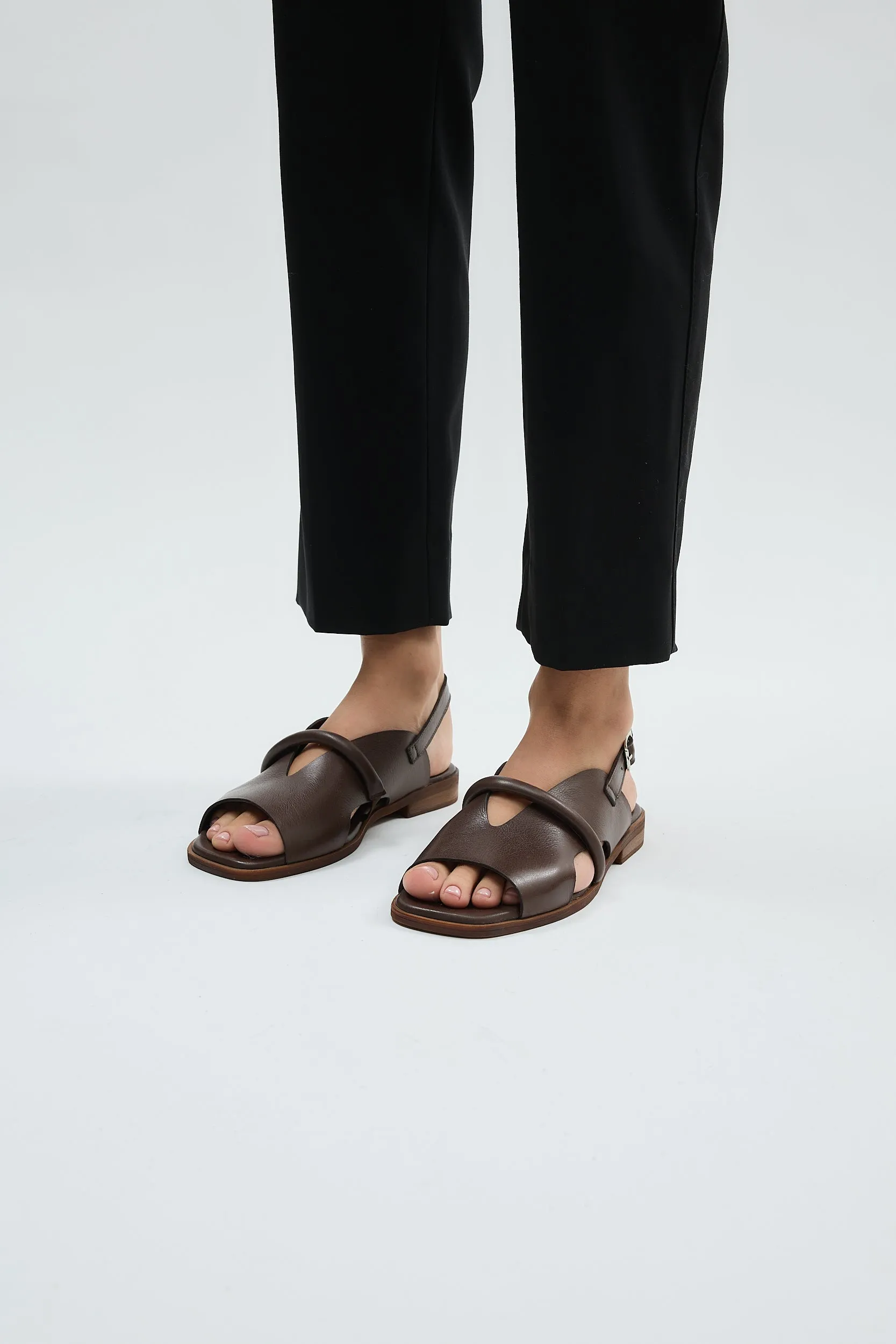 Bergen Brown