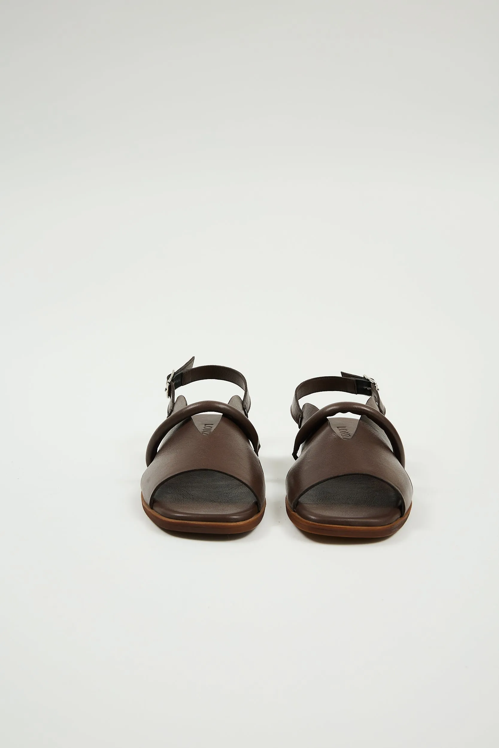 Bergen Brown