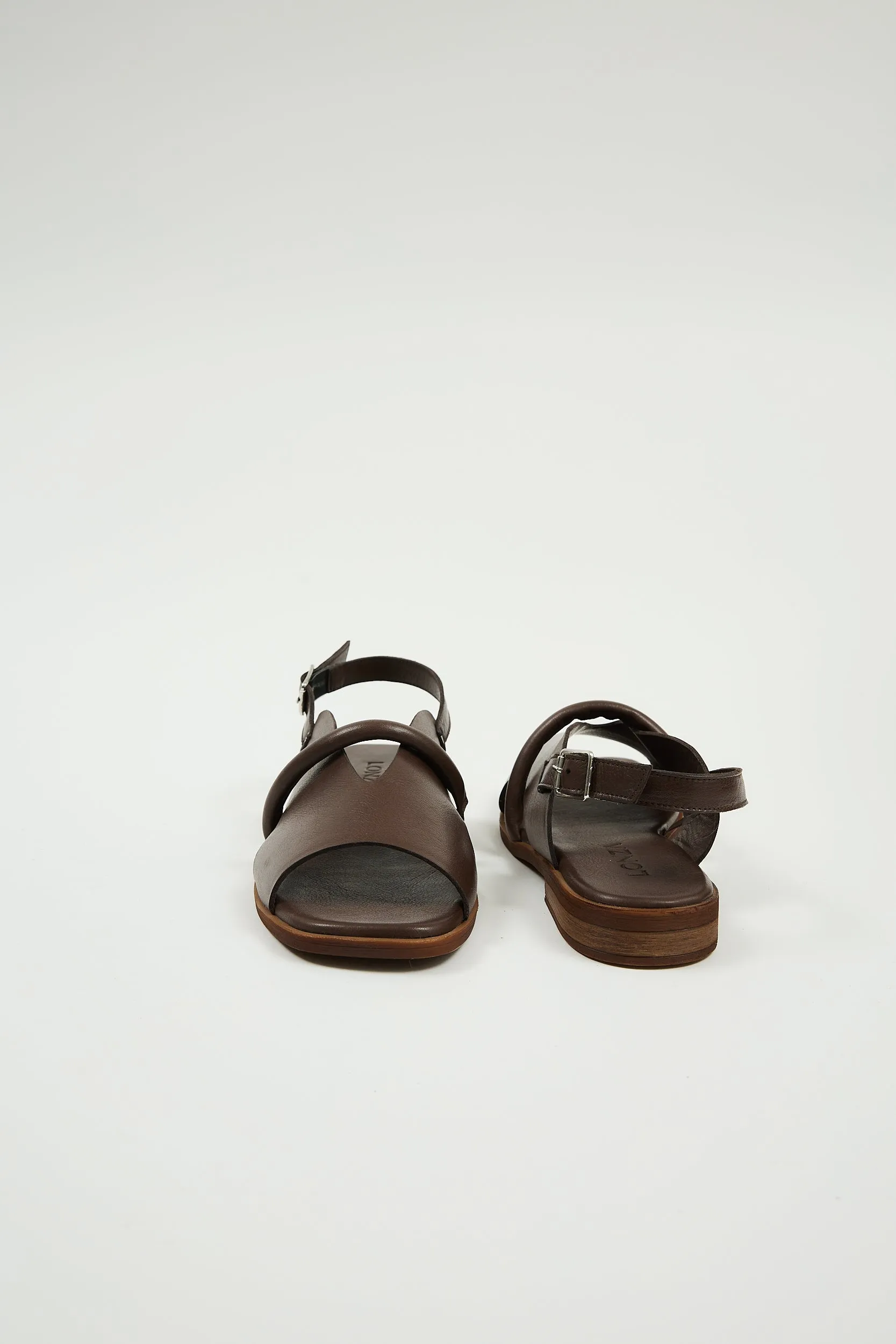 Bergen Brown