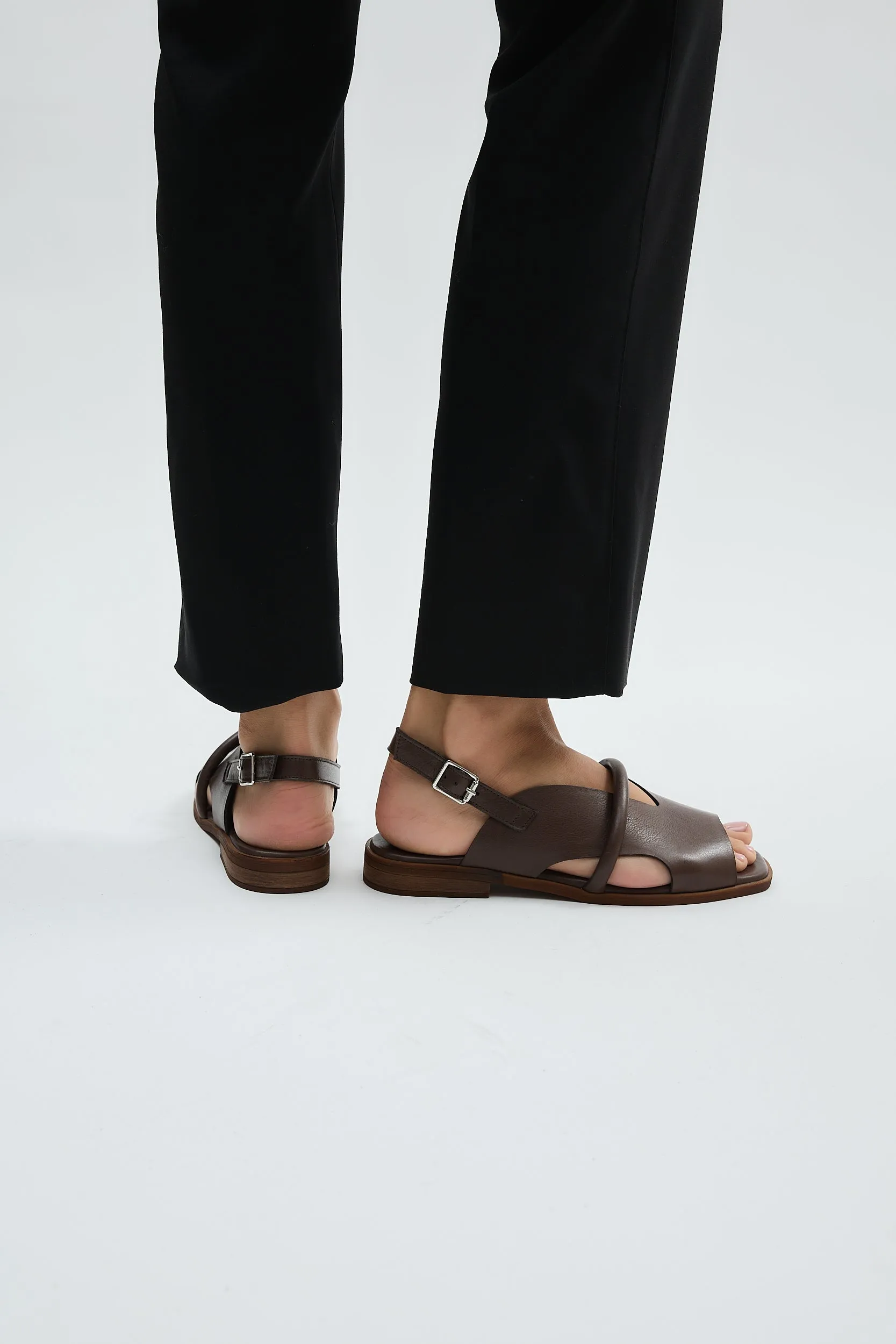 Bergen Brown