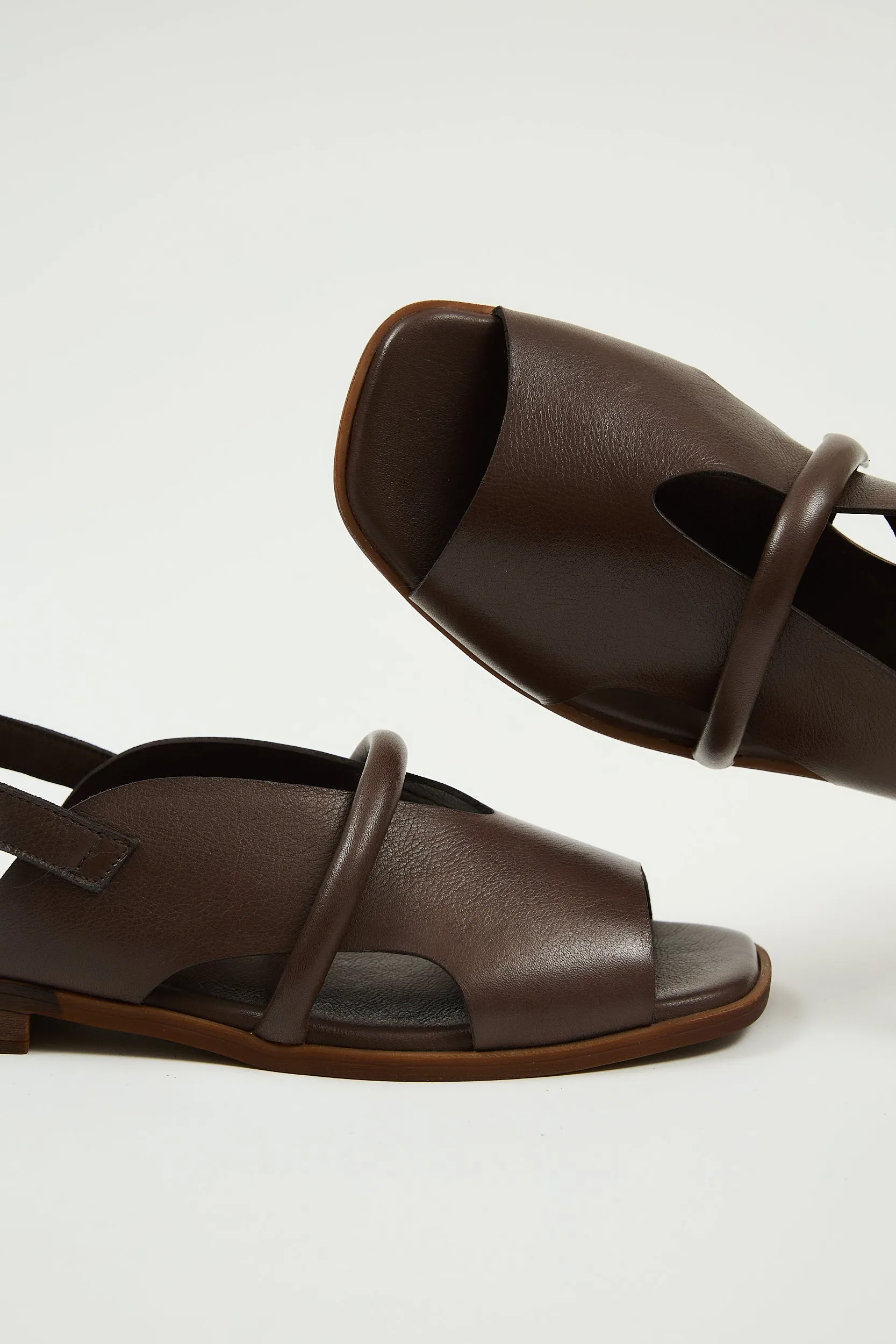 Bergen Brown