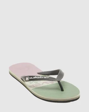 Mens Molokai Stripe Beach Thongs
