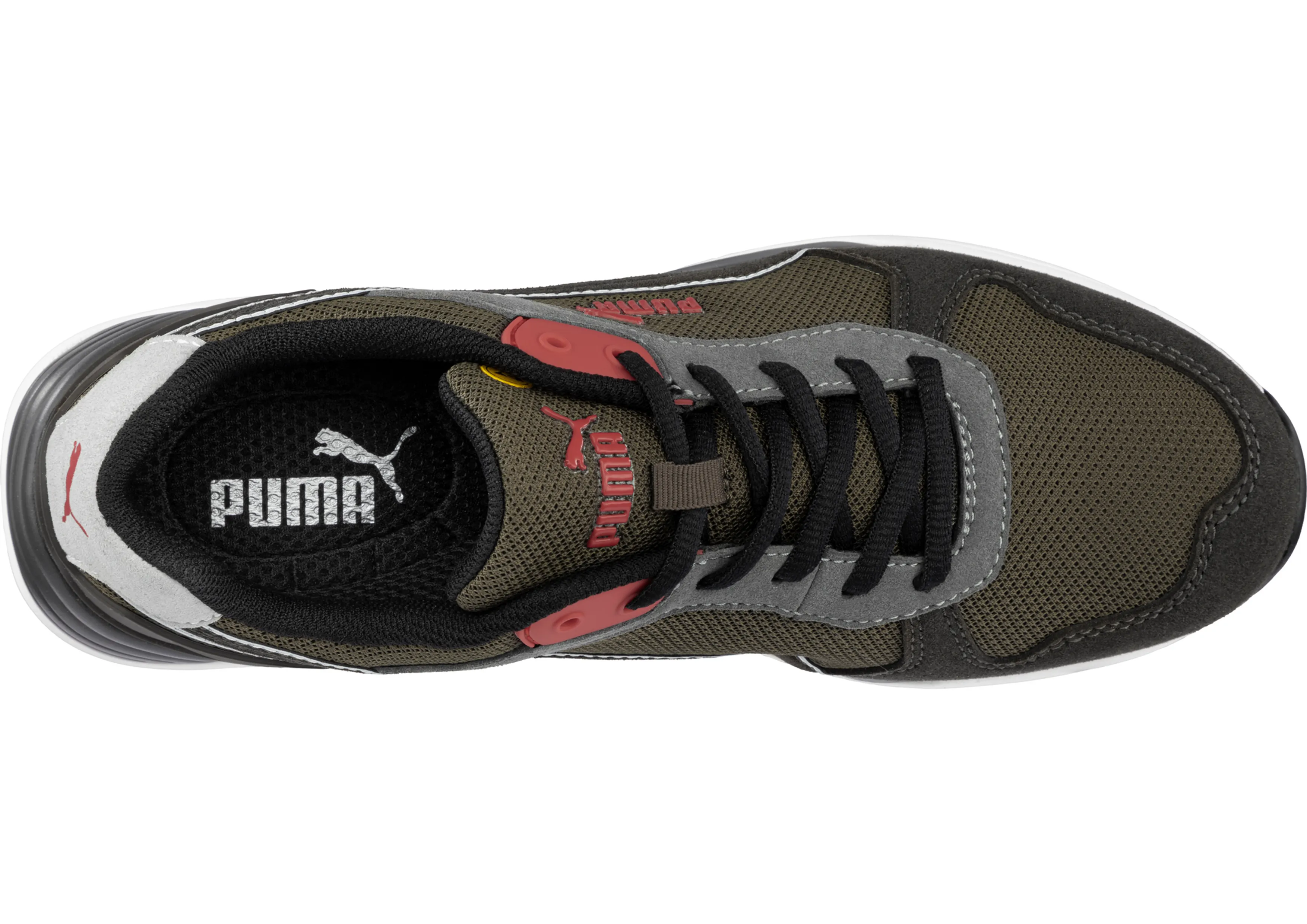PUMA Frontside Ivy (PUM644677)