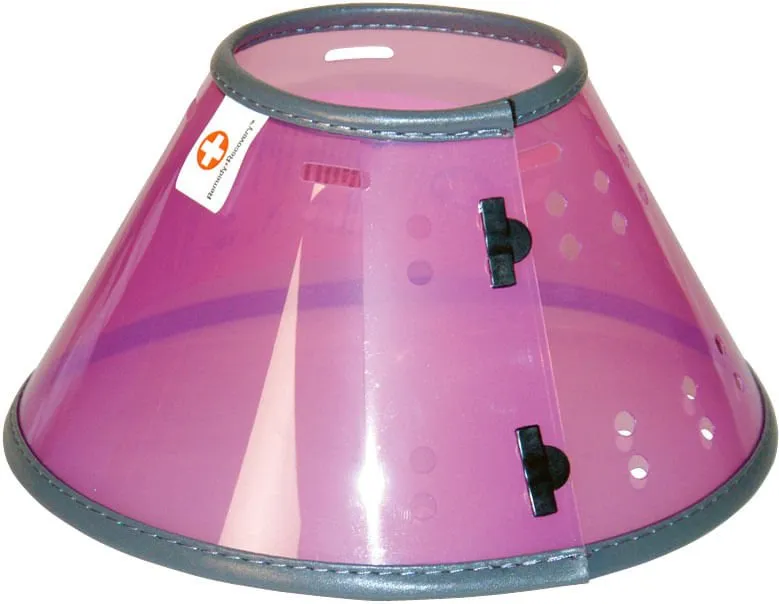 Remedy Recovery Pet Collar