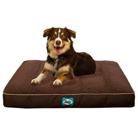 Sealy Cushy Comfy Bed: X-Large